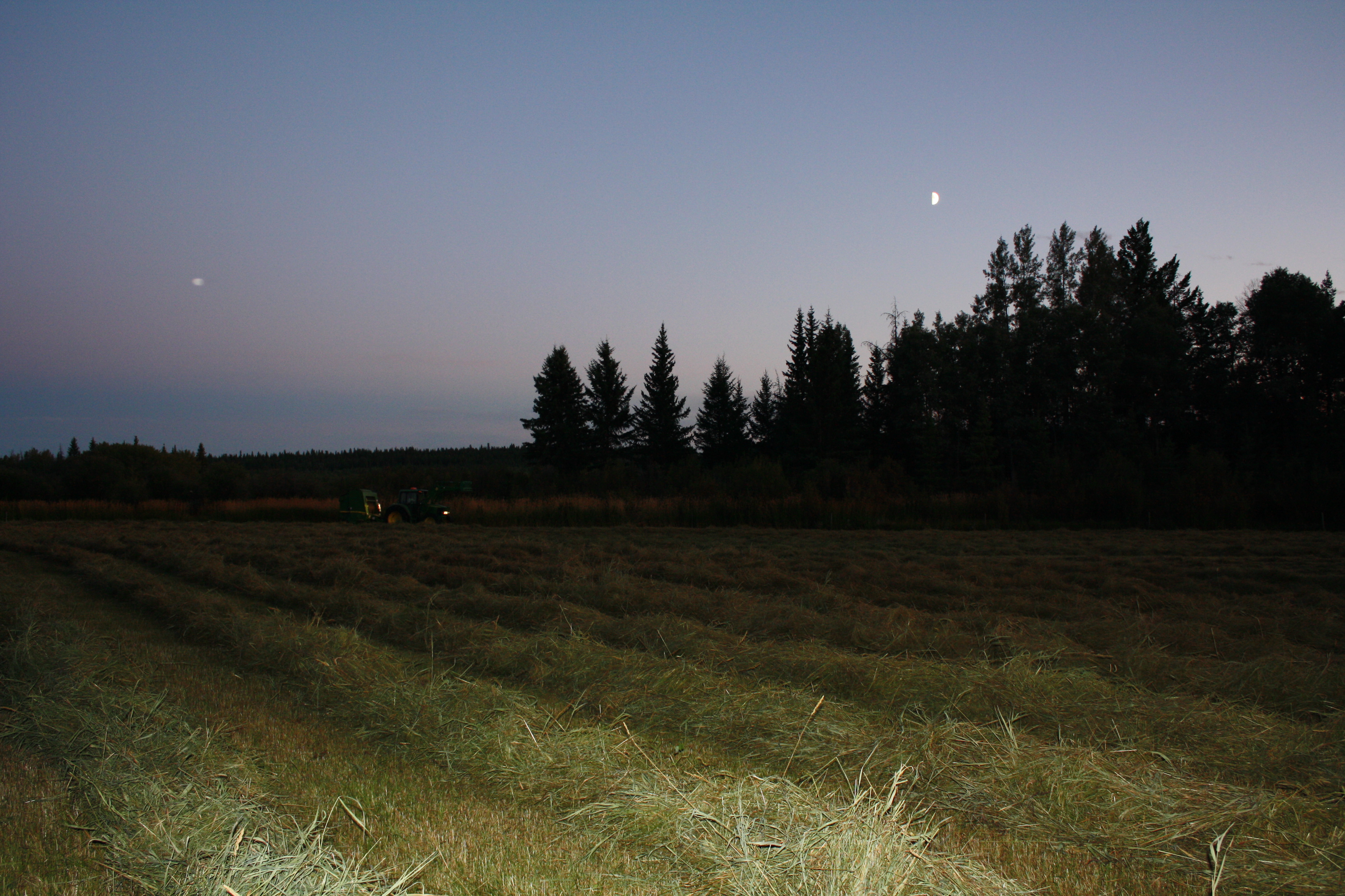 Working under the light of a new moon.  Look at those thick, tall windrows I'm baling!