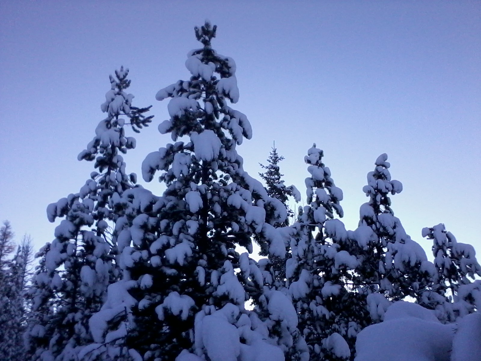 Spectacular winter scenery while snowshoeing at Dry Creek!