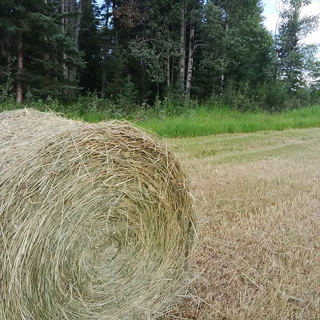 Close up of one of the bales