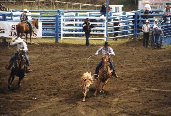 Team roping at Interlakes Rodeo, 2000